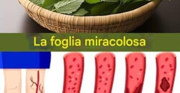 foglia diabete pressione sangue