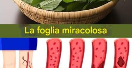 foglia diabete pressione sangue