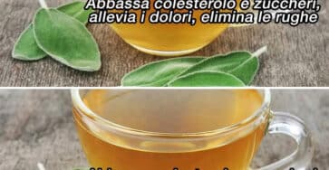 foglia prevenzione invecchiamento
