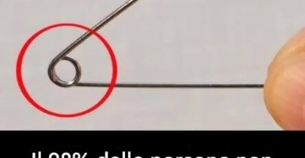 fori spilla da balia