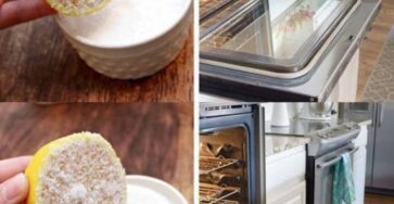 forno pulizia veloce ed efficace