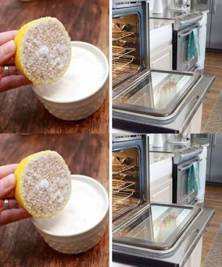 forno pulizia veloce ed efficace