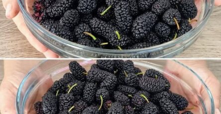 frutto dimenticato