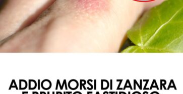 ingrediente per zanzare