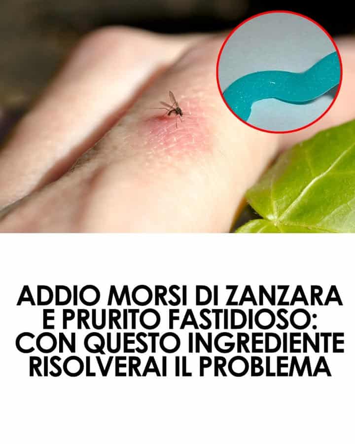 ingrediente per zanzare