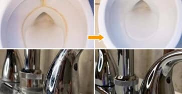 ingrediente segreto WC pulito