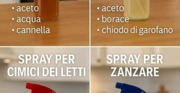 insetticidi naturali
