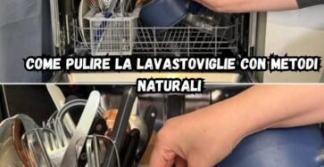 lavastoviglie arma segreta