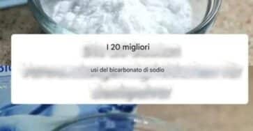 lievito in polvere usi
