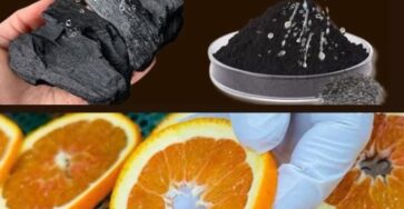 limone carbone soluzione conveniente