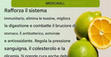 limone purifica corpo naturale