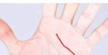 linea sulla mano