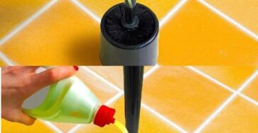 liquido spazzola toilette vaso