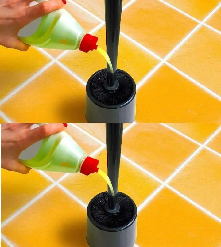 liquido spazzola toilette vaso