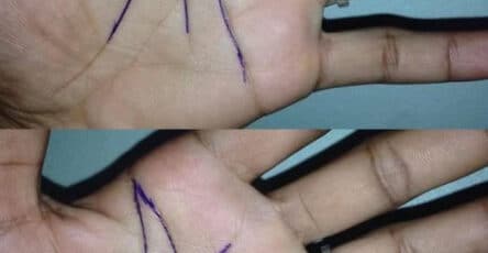 mani palmo lettera significato