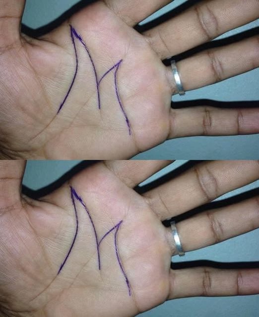 mani palmo lettera significato