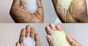 mescola il riso sale