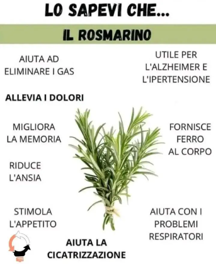 proprietà del rosmarino