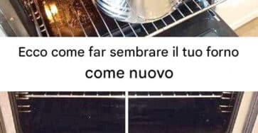 pulire forno semplicemente veloce