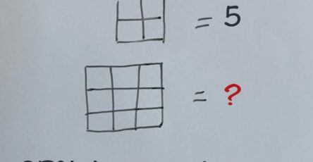 quadrati nell'immagine contare