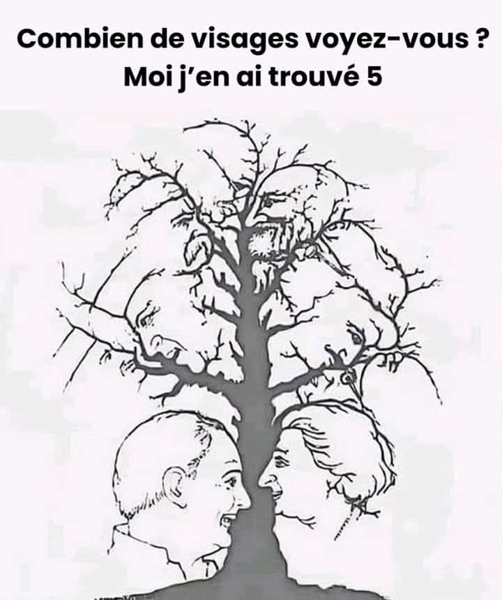 quattro volti albero