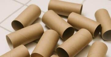 riutilizzo rotoli carta igienica