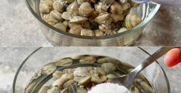 sabbia nelle vongole