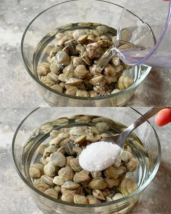 sabbia nelle vongole