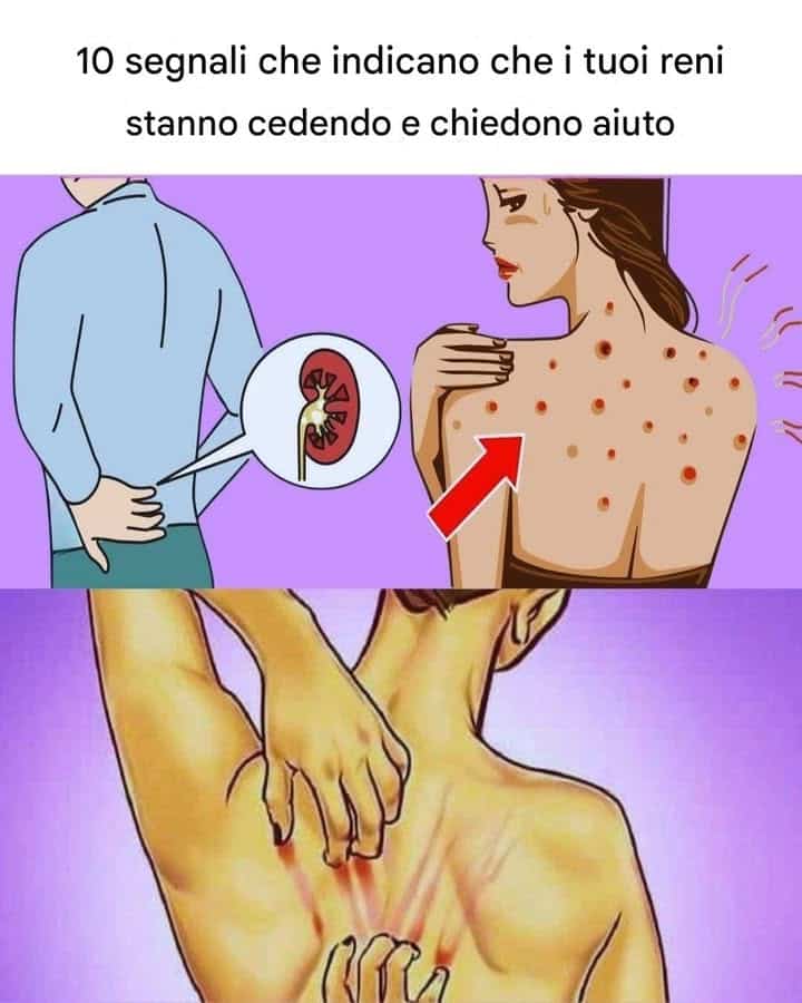 segnali reni in pericolo