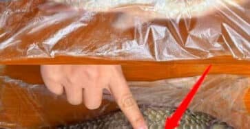 squame pesci sacchetto plastica
