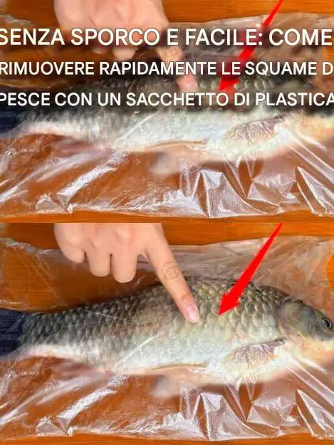 squame pesci sacchetto plastica