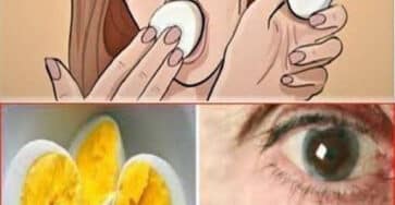 uova due al giorno