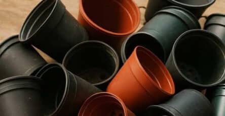 vasi di plastica riutilizzo