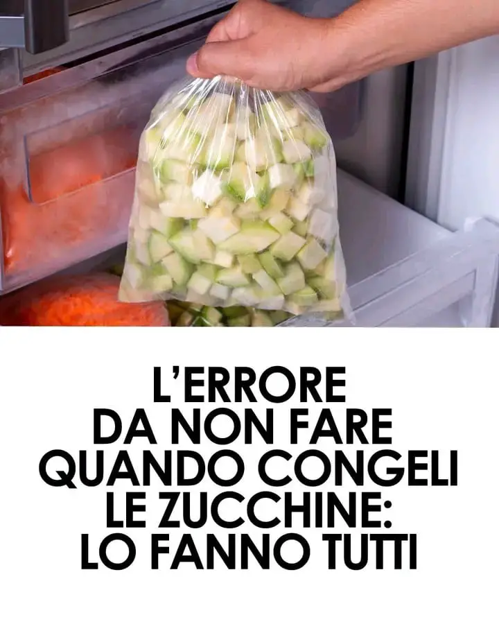 zucchine fresche conservazione